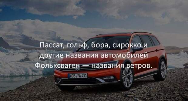 Интересные факты для любознательных (30 картинок)