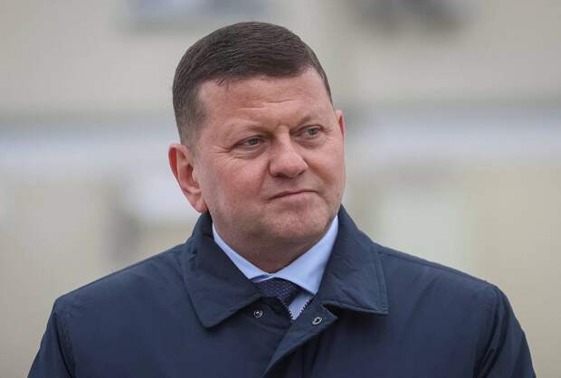 В Совфеде оценили слова Залужного о границах Украины