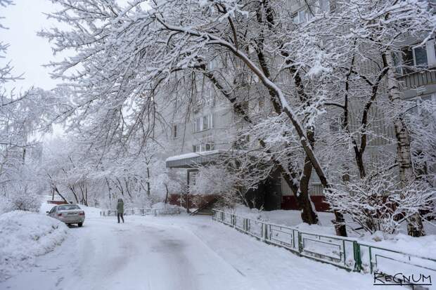 Снегопад с метелью ожидается в Москве и Подмосковье 9 января