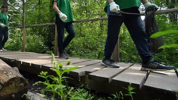 В Подмосковье началась подготовка к весенним субботникам