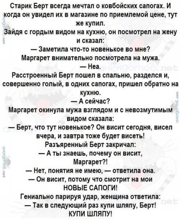 Самые веселые анекдоты