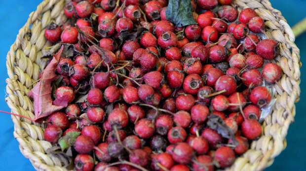 Шиповник, спортивные снеки и детское питание: на что появятся ГОСТы в 2026 году