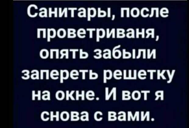Политические комментарии из инета