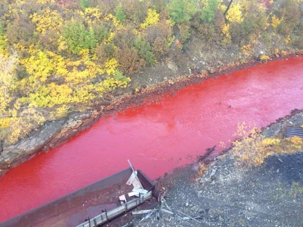 Река в Норильске стала багровой норильск, река, факты, цвет крови
