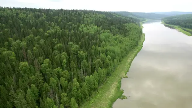 В Волгоградской области продлили ограничение на пребывание в лесах