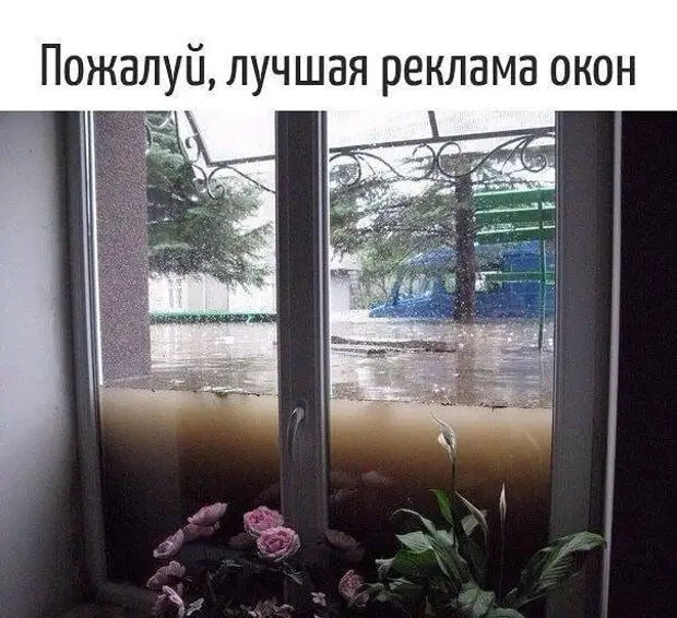 Мадам, ваши ручки - прекрасны, или я ничего не смыслю в канцелярии! Мадам, ваши ручки - прекрасны, или я ничего не смыслю в канцелярии! понимаю, очевидно, говорит, размер, блондинка, словом, одним, сказать, коллектива, половине, женской, настроение, испортила, корпоратив……, заглянувшая, случайно, размера, четвертого, грудью, талоныКрасивая