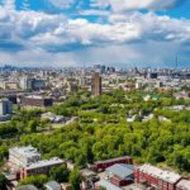 Сергунина: В Москве расширили поддержку организаций сферы искусства. Фото: mos.ru