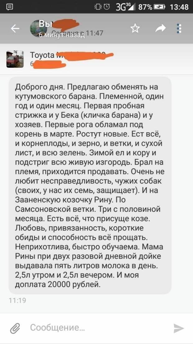 www.vsyako.net