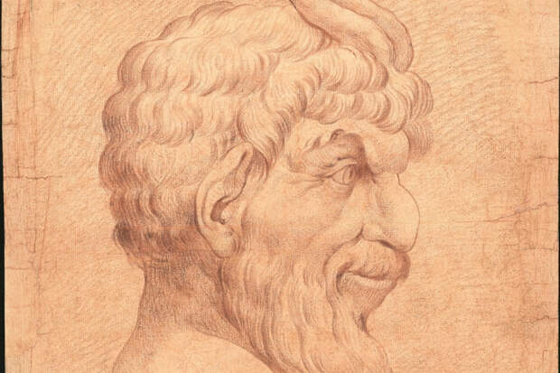 В Музее Академии художеств открывается выставка академического рисунка XVIII века