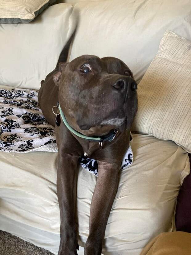 Я не знаю, что с ним Я не знаю, что с ним