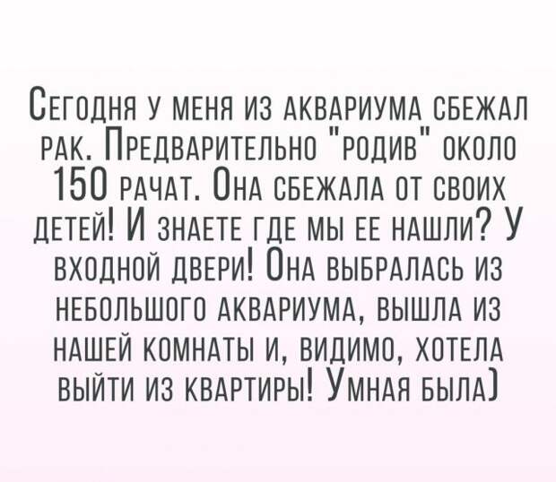 Шутки и истории про &quot;яжматерей&quot;, детей и семейные отношения