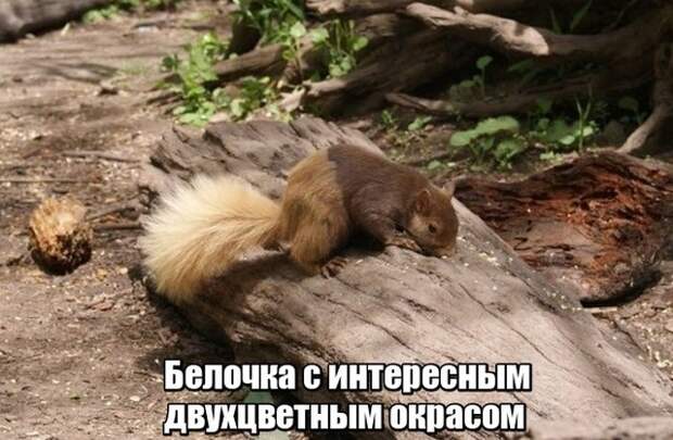Мир никогда не прекратит удивлять нас Мир никогда не прекратит удивлять нас