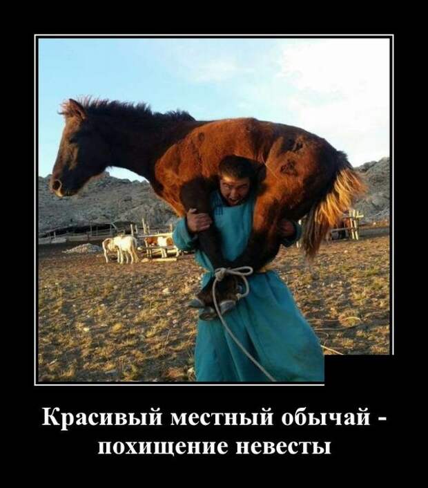 www.vsyako.net