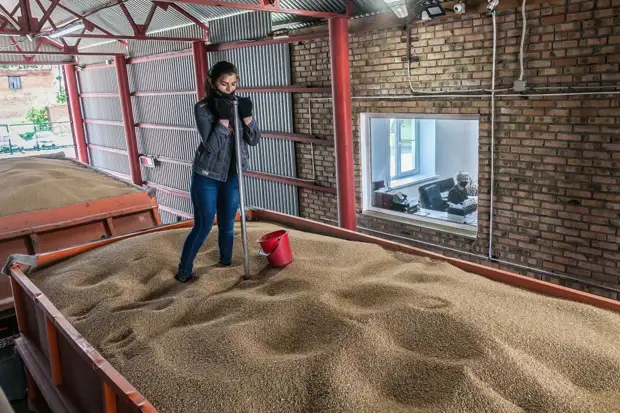 Новые системы мониторинга выведут сельхозпредприятия Сибири из тени