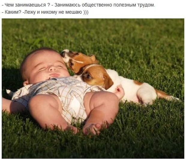 Комар, укусивший пьяного рыбака, потом ещё два часа рассказывал ему про свою тяжёлую жизнь Комар, укусивший пьяного рыбака, потом ещё два часа рассказывал ему про свою тяжёлую жизнь