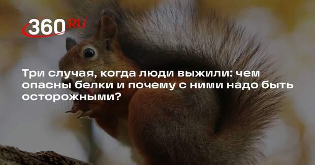 Кардиолог Кондрахин: белки передают бешенство, это смертельное заболевание