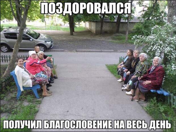 Смешные картинки с надписям