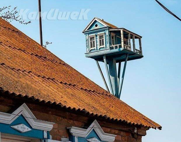Хоромы для птиц