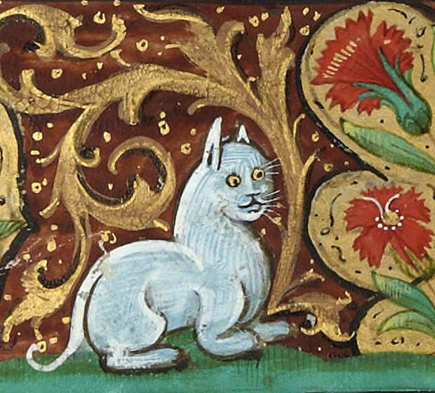 6. Кажется, французскому милашке сложно справиться с мыслью, что он совсем не милашка коты, средние века, страдающее средневековье, ужас