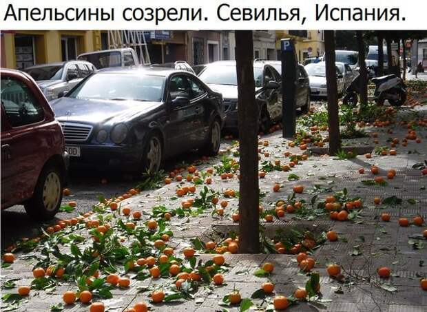 Пятничная подборка забавных картинок забавные картинки, прикол, юмор