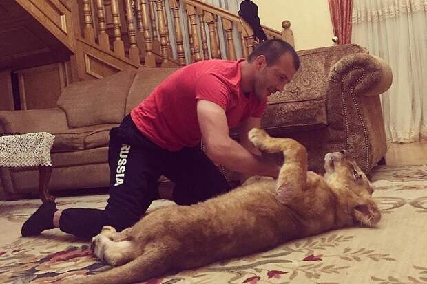 Салим проводит тренировки со своим львом. Фото: www.instagram.com/salim_zhambeev/