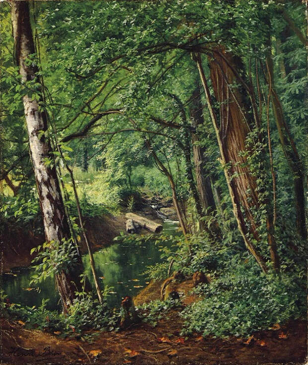 Лесной ручей (A woodland stream)_ (589x700, 615Kb)