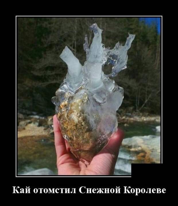 Демотиваторы
