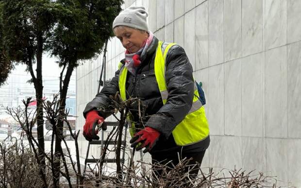 В ближайший месяц в Рязани организуют «творческие субботники»