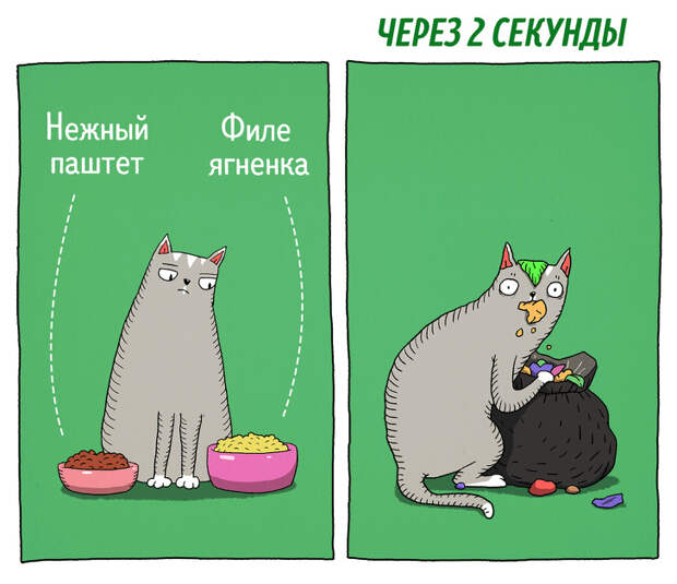 14 комиксов о том, что коты — самые противоречивые создания на планете