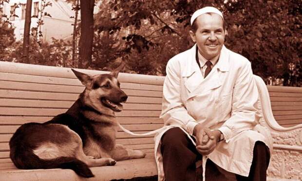 Профессор Владимир Демихов: пионер трансплантологии и создатель двухголовых химер