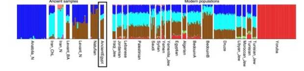 График анализа ADMIXTURE, показаны предковые компоненты древних и современных популяций. Древние египтяне выделены. new-4