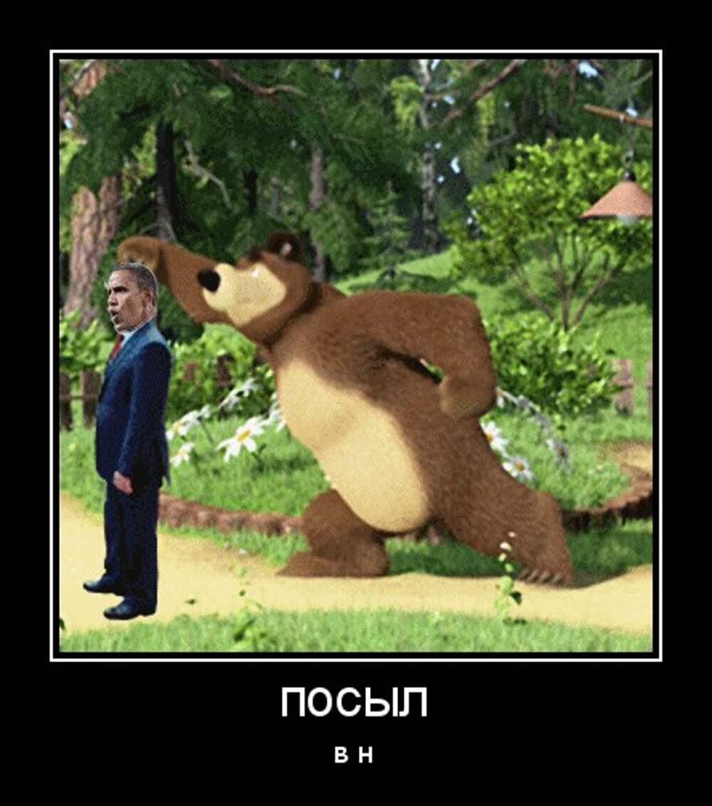 Гифки медвежонок. Пинка медведю. Пинка медведю. Мы обычные медведи. Бухой медведь.