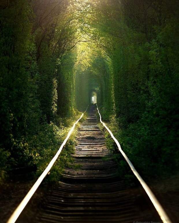 Ох уж эти украинские железные дороги, сколько в них неземного волшебства и магии!
