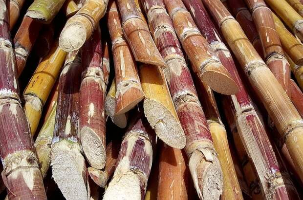 Изначально в России ели сахар, изготовленный из сахарного тростника.