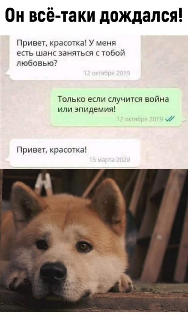 Приколы про современных девушек