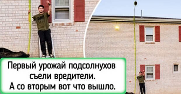 15+ доказательств того, что в интернете и без искусственного интеллекта полно потрясных фоток