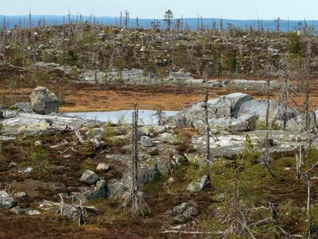 «Марсианская вода»: учёные уточнили, как она влияет на организм