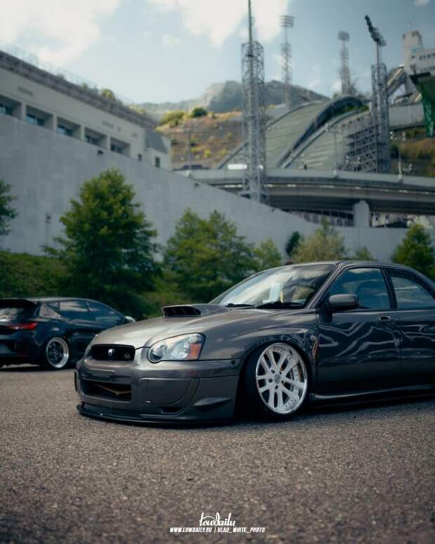 Lowdaily