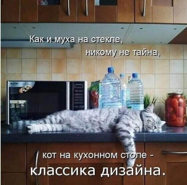 2915637581 (610x606, 250Kb)