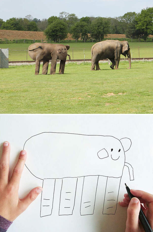 Слон