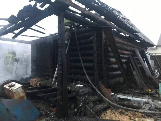 20 куриц погибли в пожаре в Завьяловском районе