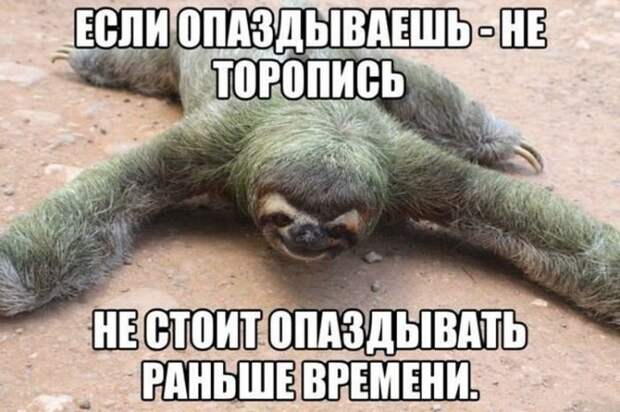 Прикольная фотоподборочка