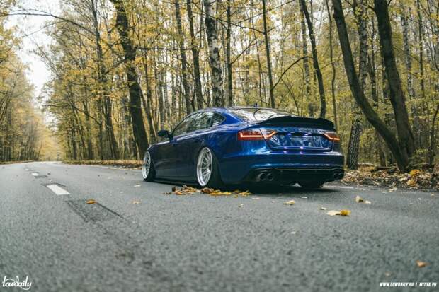 bagged audi a5 sportback 8