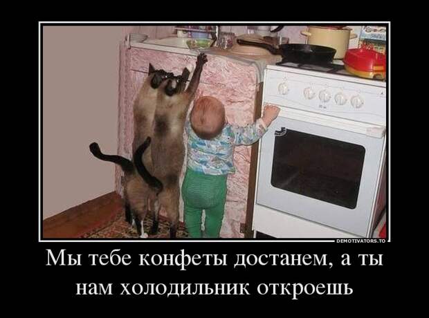 Прикольные демотиваторы для улыбок (11 фото)