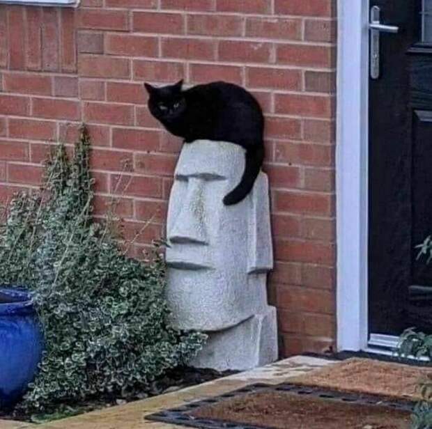 14 снимков, на которых происходит что-то очень крутое