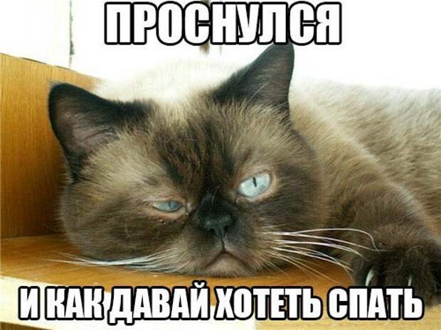 Забавные и веселые картинки с надписями для хорошего настроения (12 фото) Забавные и веселые картинки с надписями для хорошего настроения (12 фото)