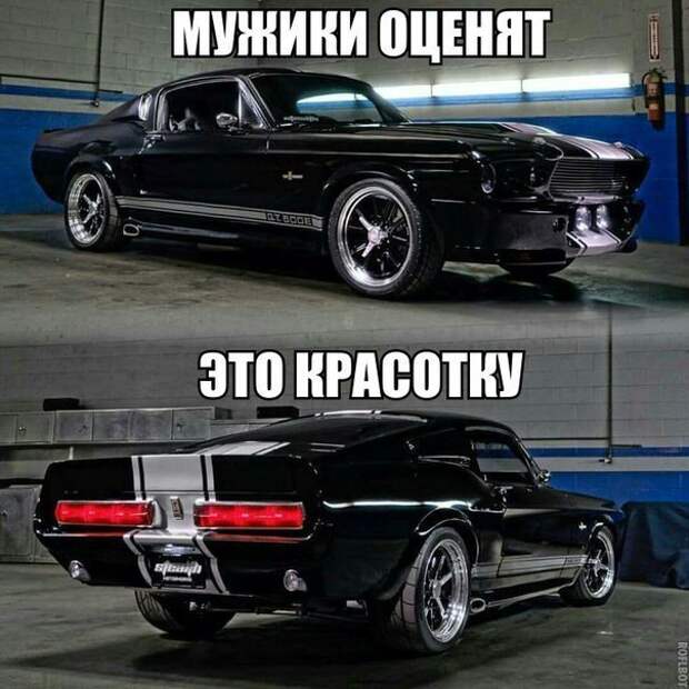 Смешное в картинках