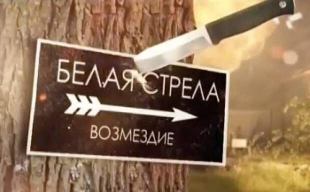 Кадр из сериала "Белая стрела. Возмездие"