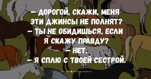 15 отличных анекдотов ждут вашего внимания!