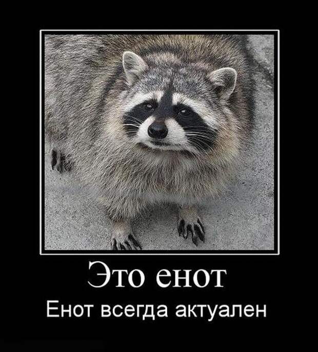 Свежие и позитивные демотиваторы для хорошего настроения (11 фото) Свежие и позитивные демотиваторы для хорошего настроения (11 фото)